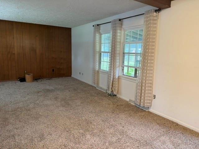 226 Hardacre Property Photo 8
