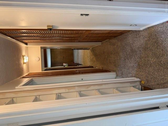 226 Hardacre Property Photo 11
