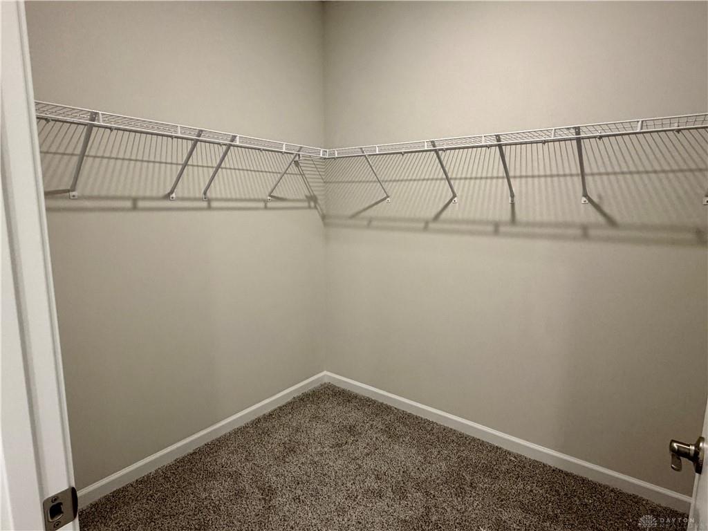 468 Hollywood Property Photo 20