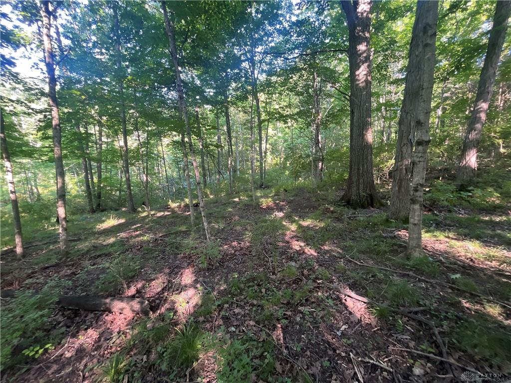 0 Stephen Young Rd. Property Photo 7