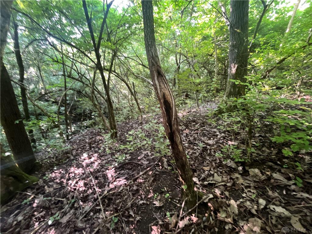 0 Stephen Young Rd. Property Photo 21