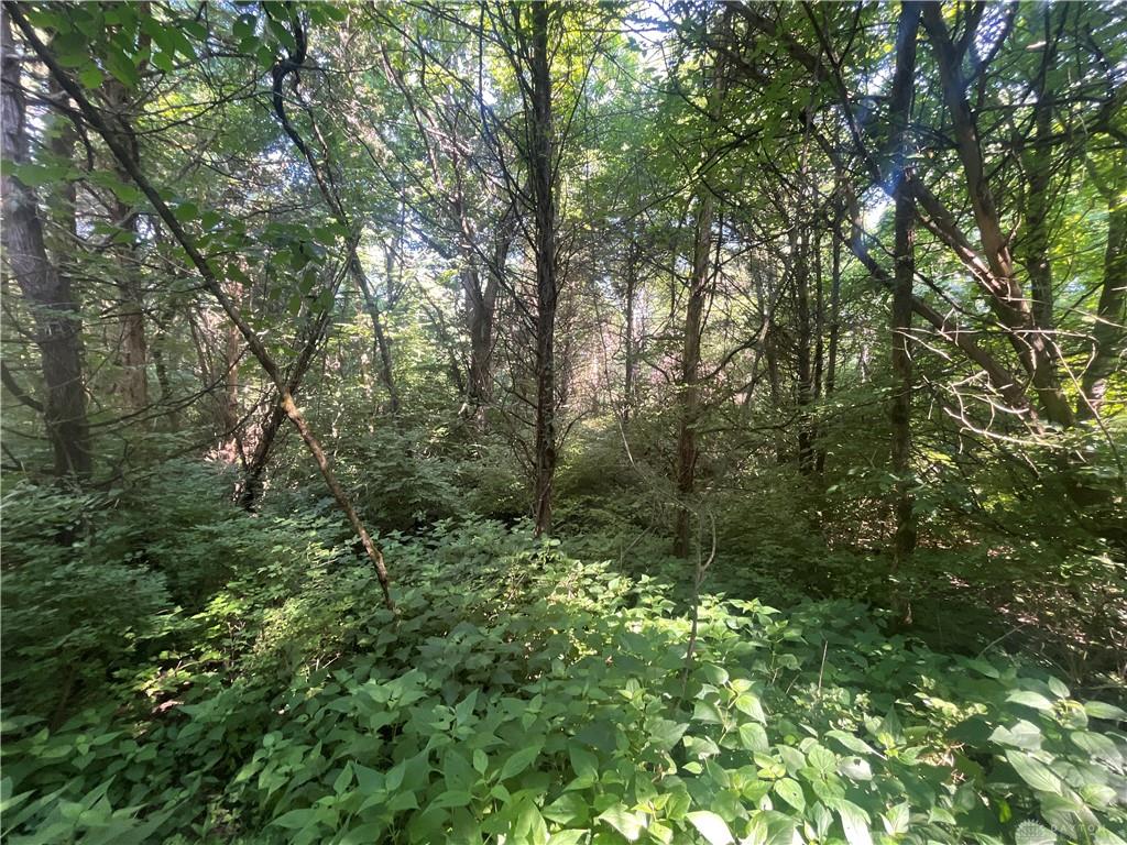 0 Stephen Young Rd. Property Photo 27