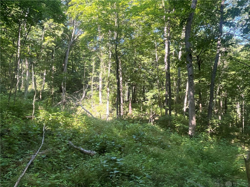 0 Stephen Young Rd. Property Photo 29