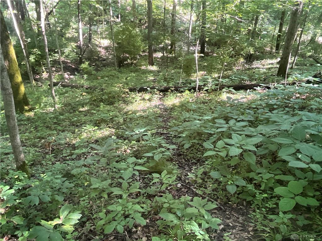 0 Stephen Young Rd. Property Photo 30
