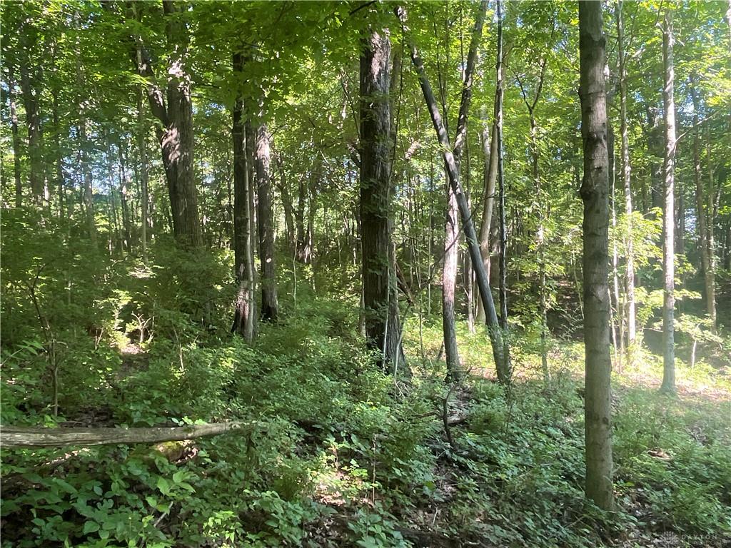 0 Stephen Young Rd. Property Photo 33