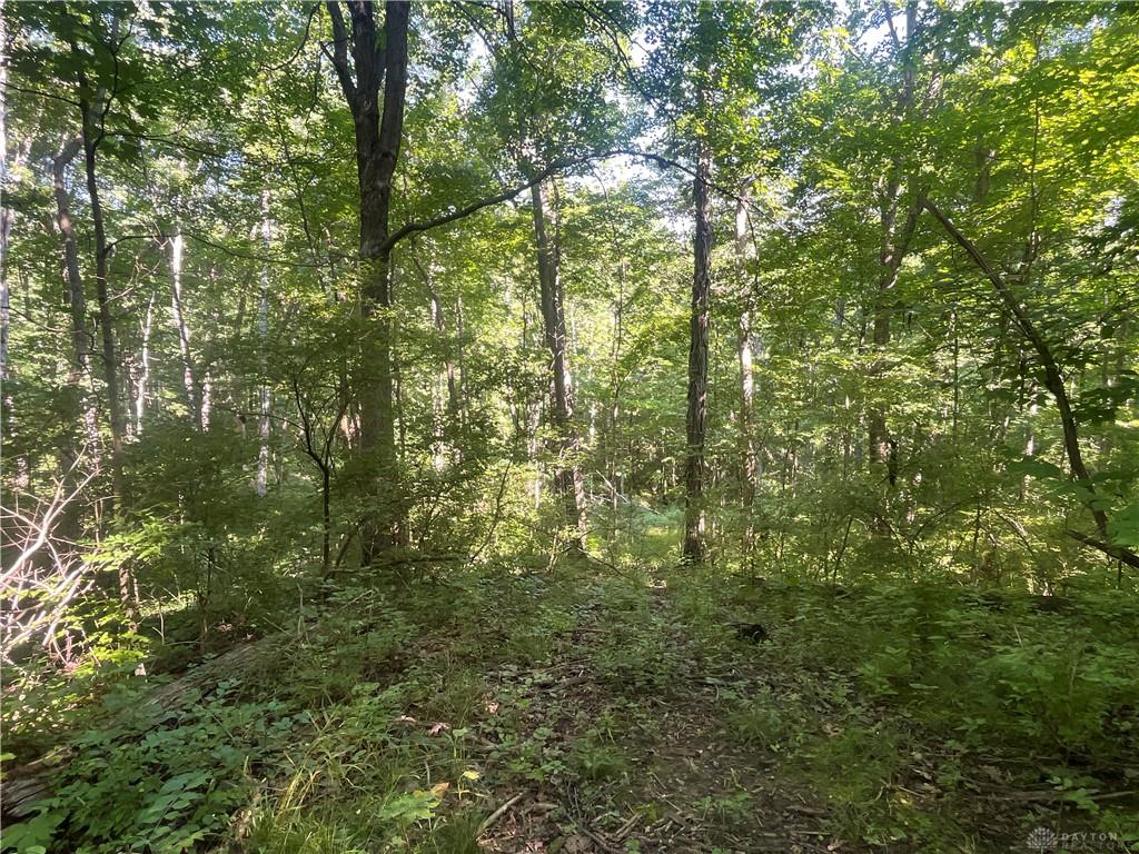 0 Stephen Young Rd. Property Photo 39