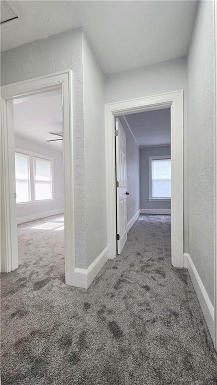 1253 Vernon Property Photo 15