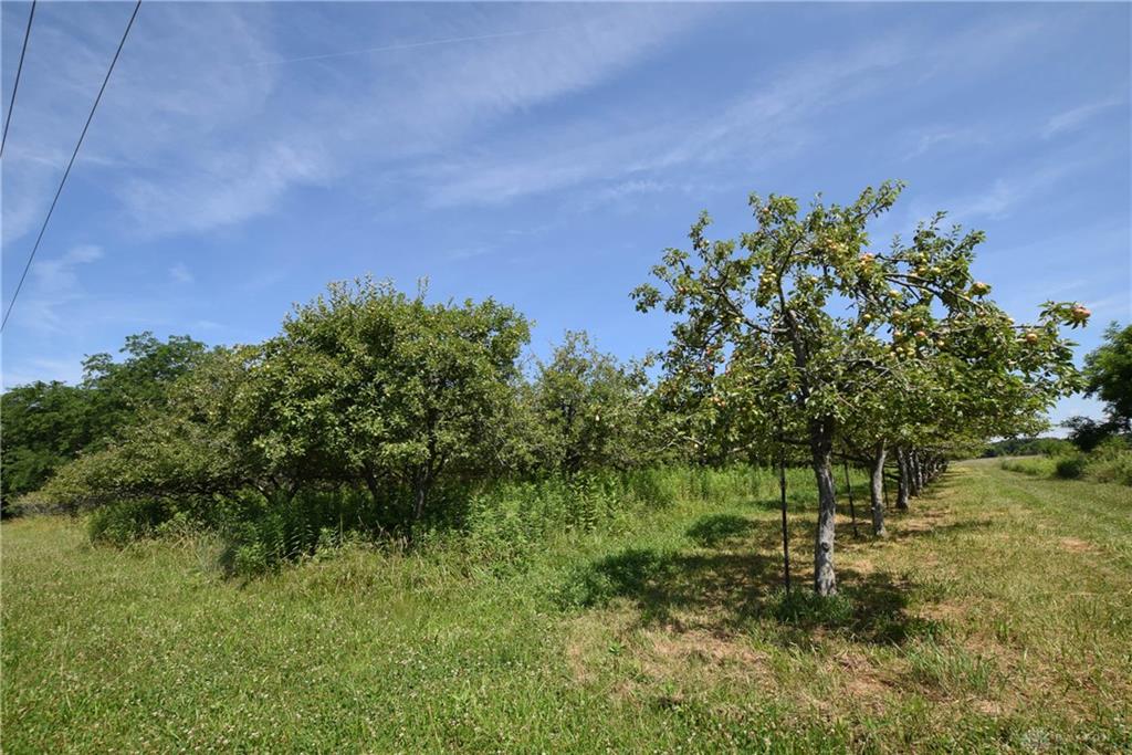 000 Millerstown Property Photo 12