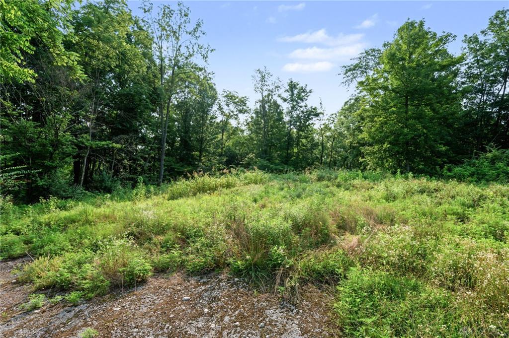 5793 Brant Property Photo 4