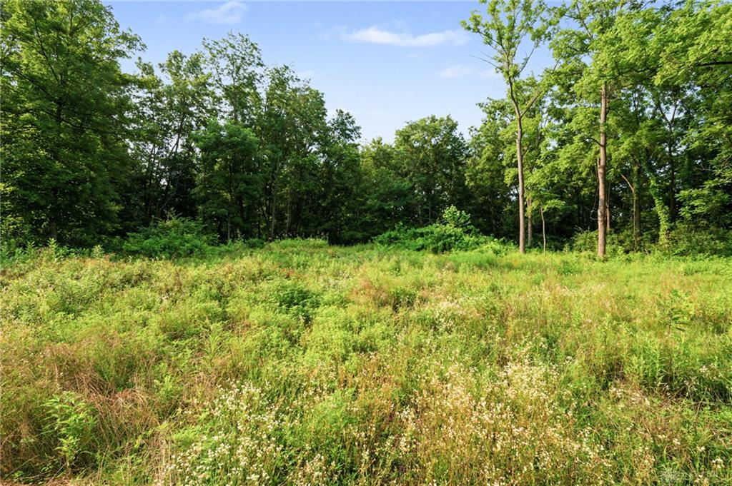 5793 Brant Property Photo 5