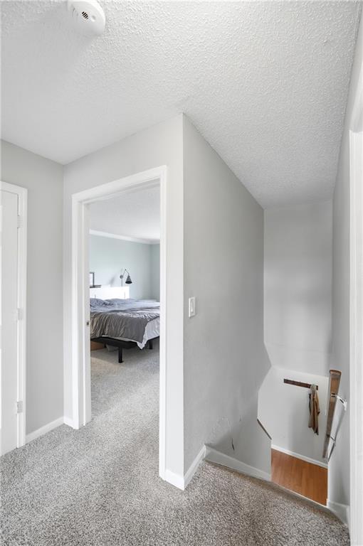 3302 Ultimate Property Photo 29