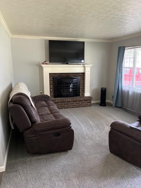 481 Cleary Property Photo 4