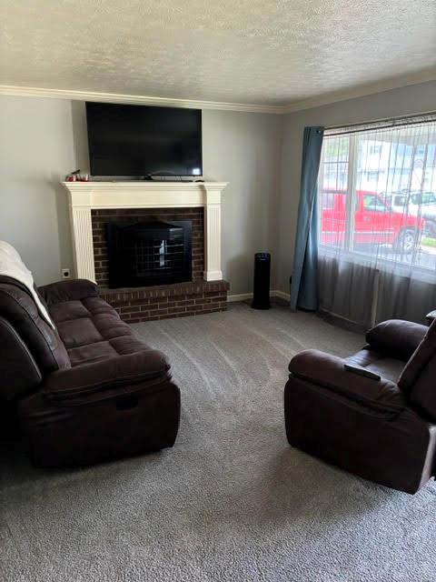 481 Cleary Property Photo 5