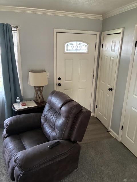 481 Cleary Property Photo 6