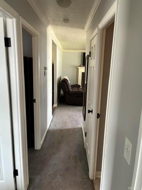 481 Cleary Property Photo 11