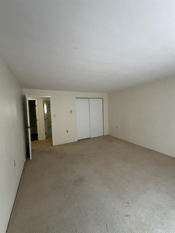 338 Grove Property Photo 5