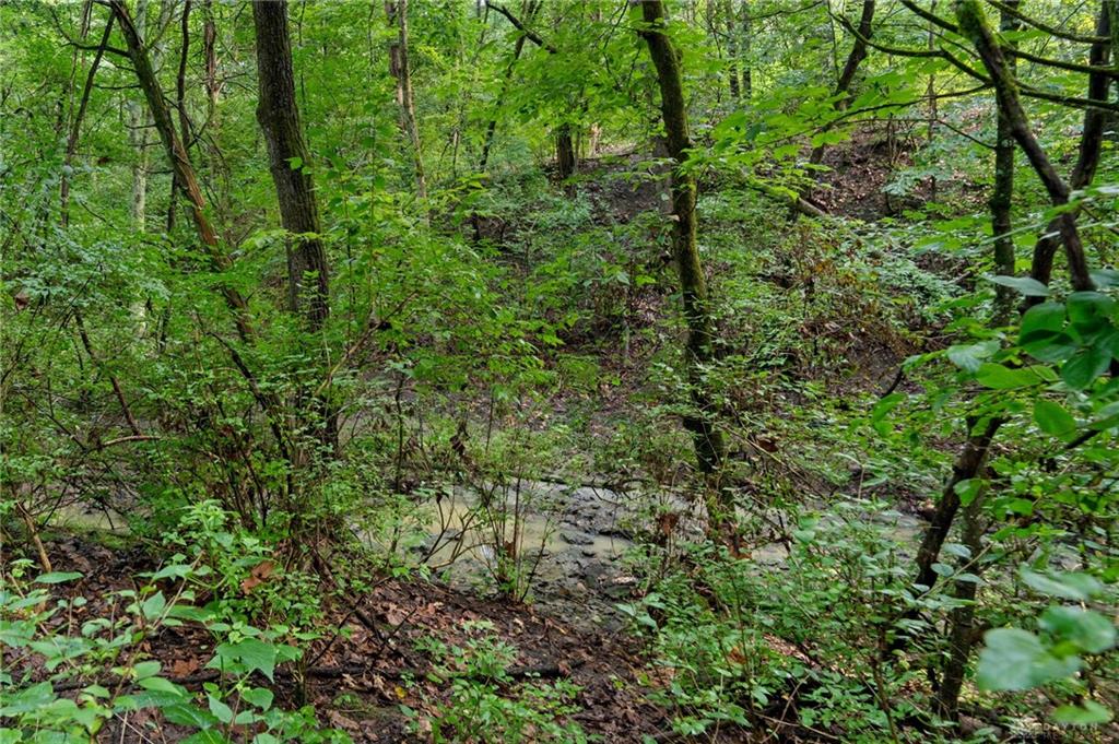 7191 Brook Property Photo 66