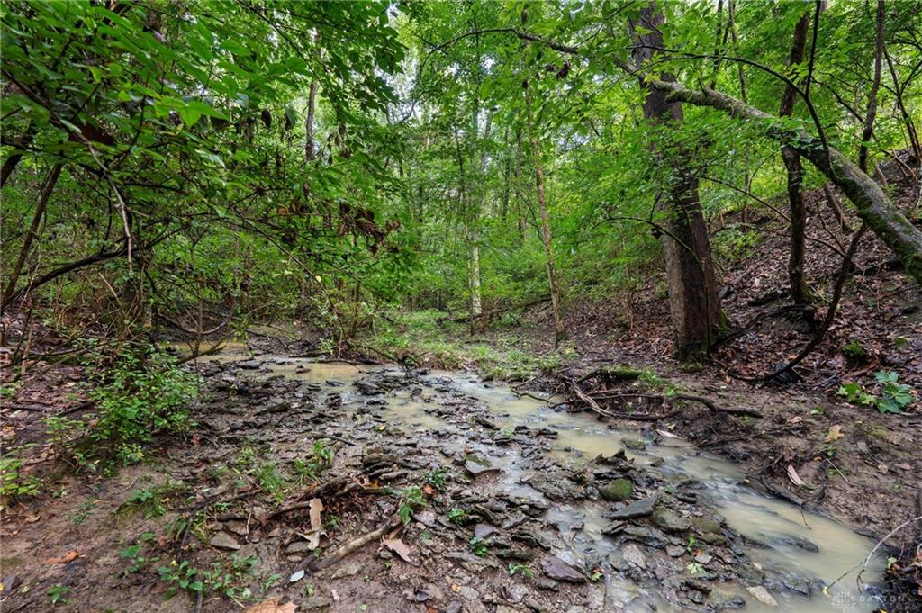 7191 Brook Property Photo 67