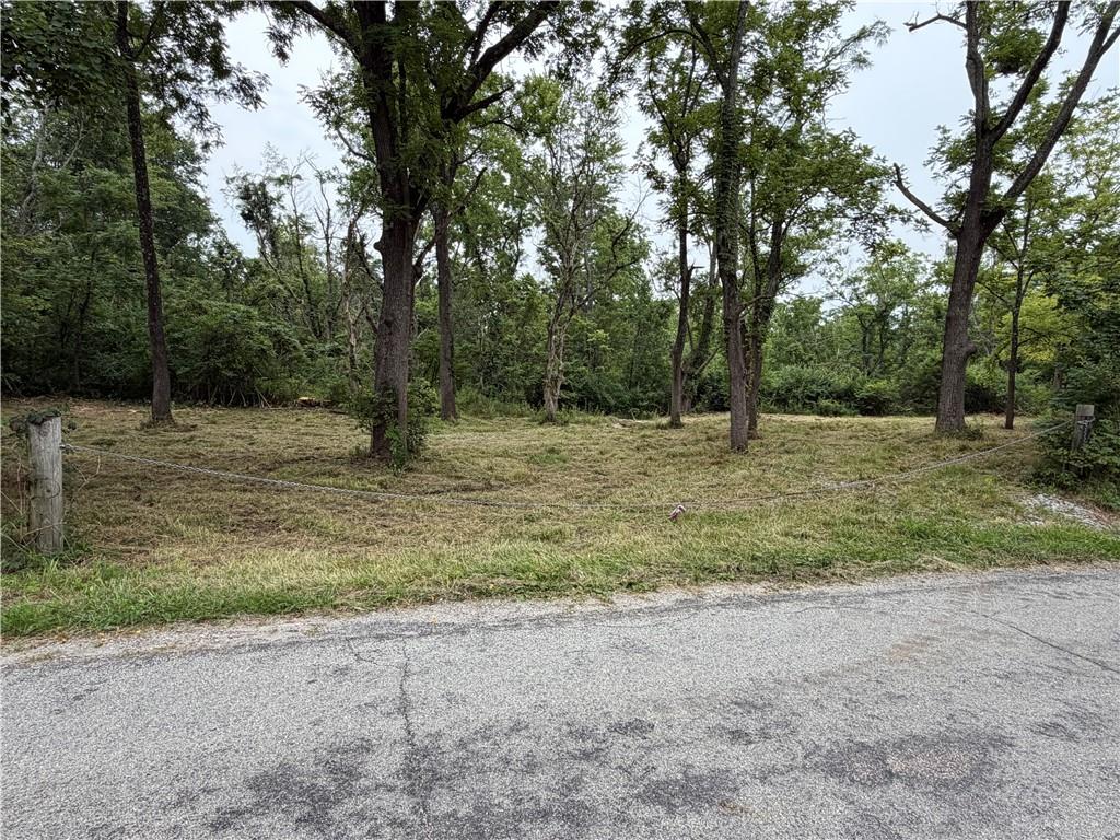 10237 Collins Riley Property Photo 4