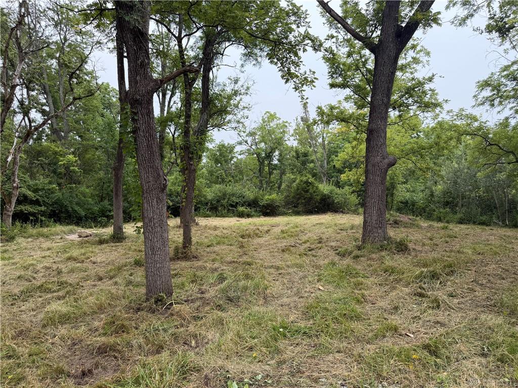 10237 Collins Riley Property Photo 5