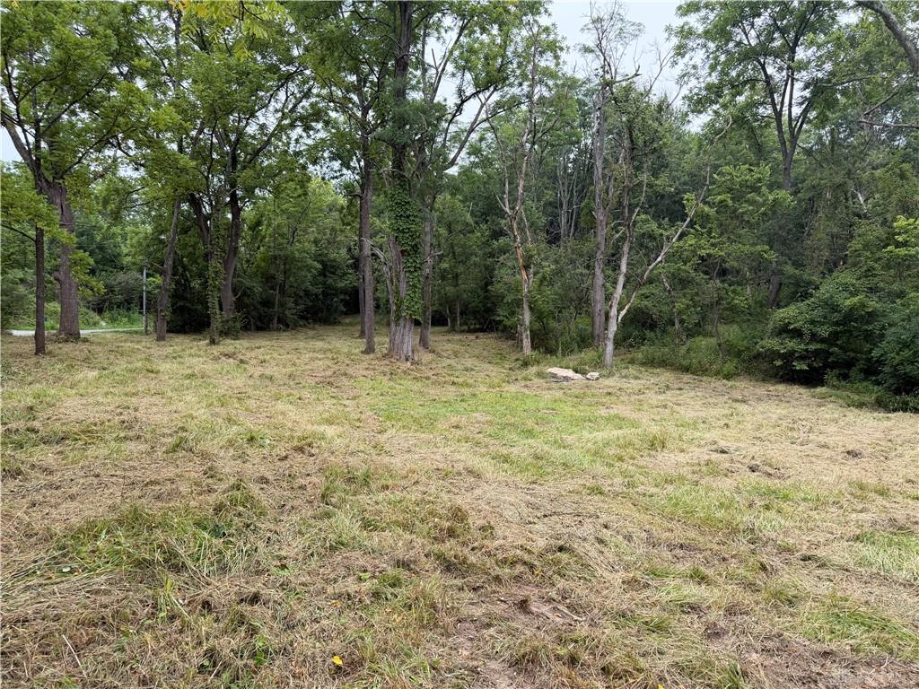 10237 Collins Riley Property Photo 7