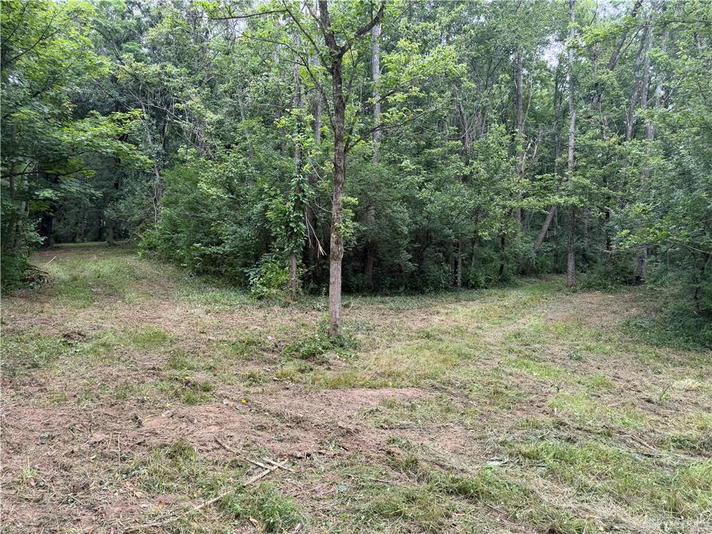 10237 Collins Riley Property Photo 8