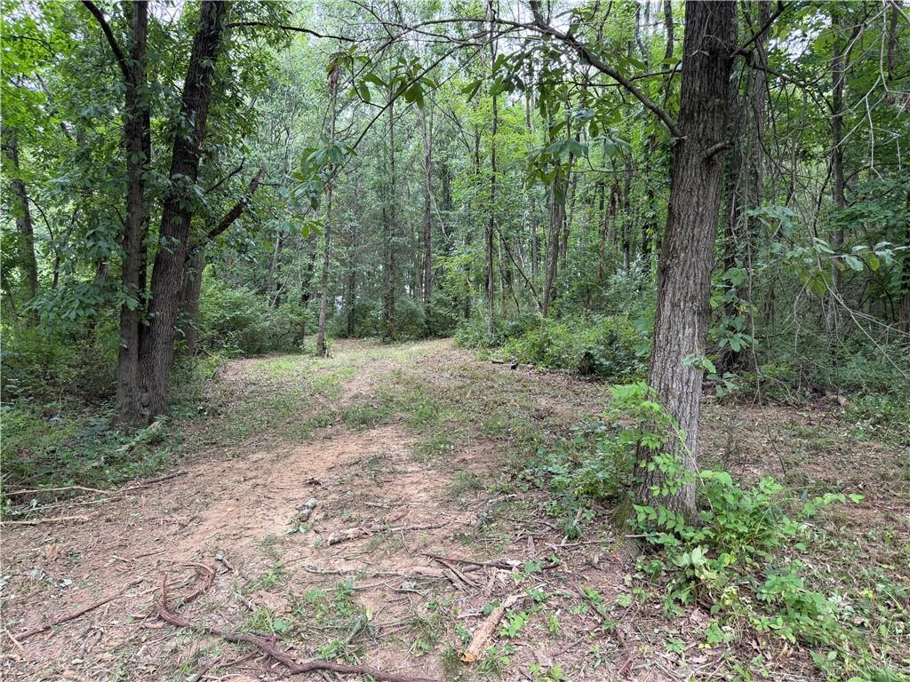 10237 Collins Riley Property Photo 9