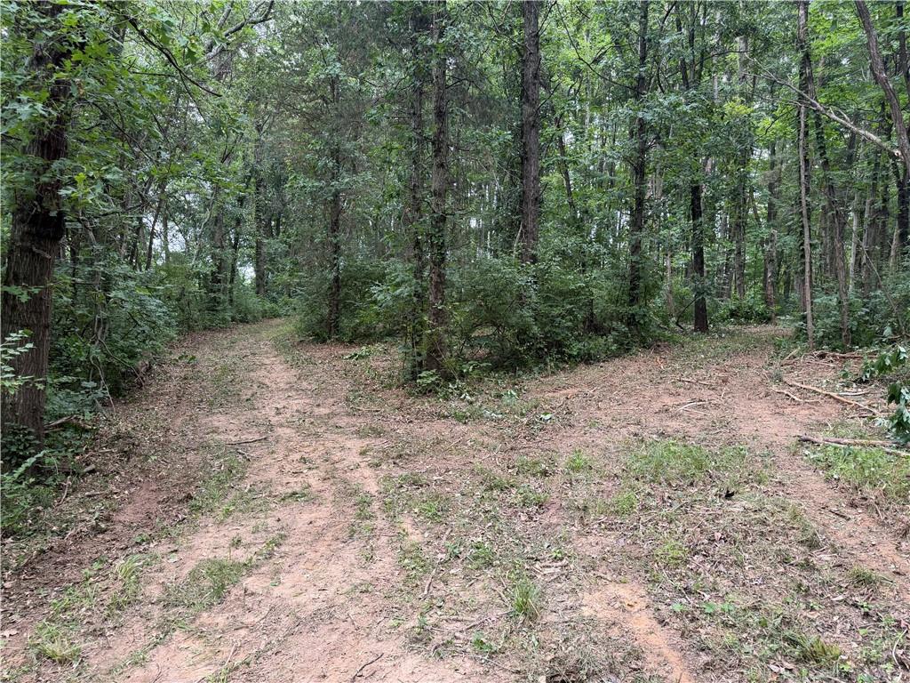 10237 Collins Riley Property Photo 10