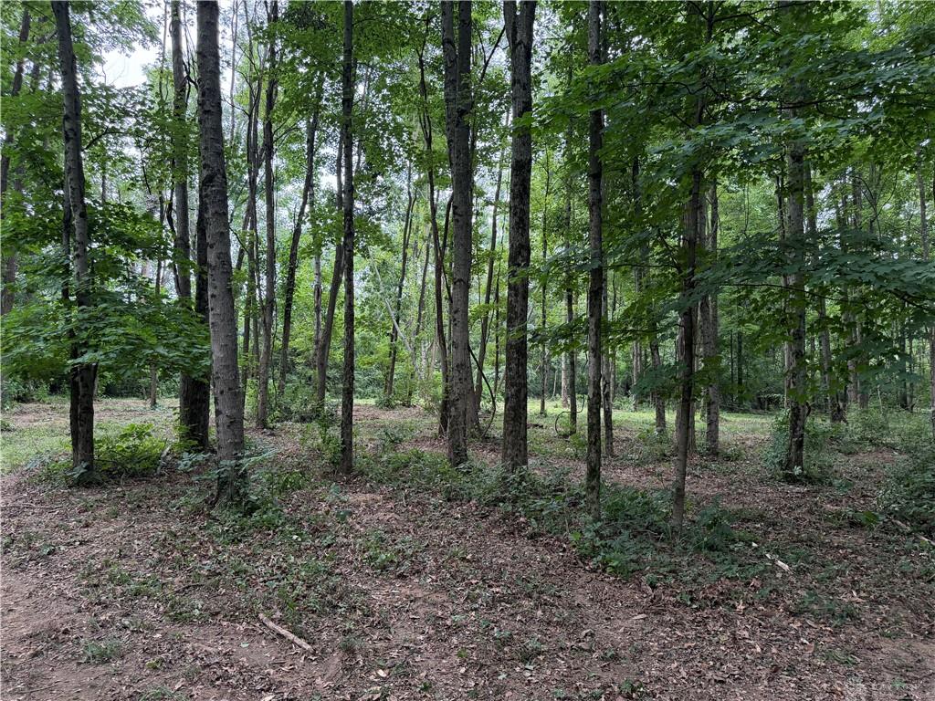 10237 Collins Riley Property Photo 11