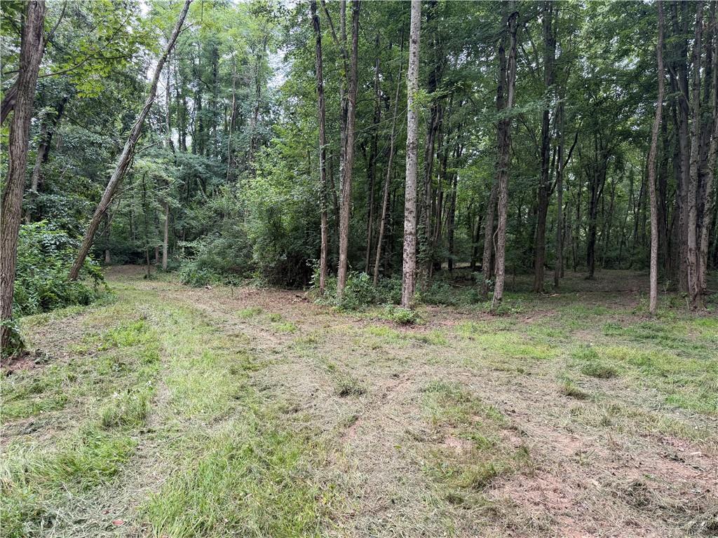 10237 Collins Riley Property Photo 12
