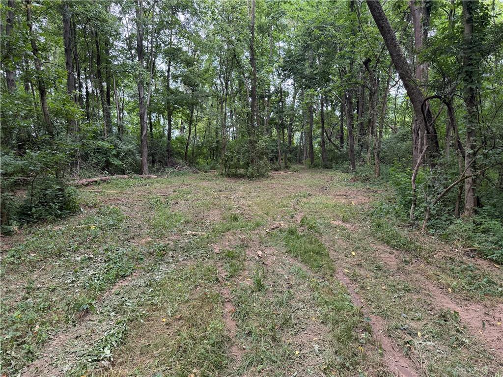 10237 Collins Riley Property Photo 13