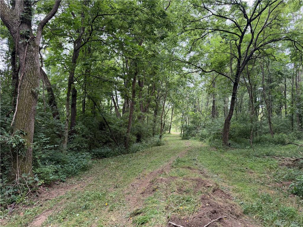 10237 Collins Riley Property Photo 14