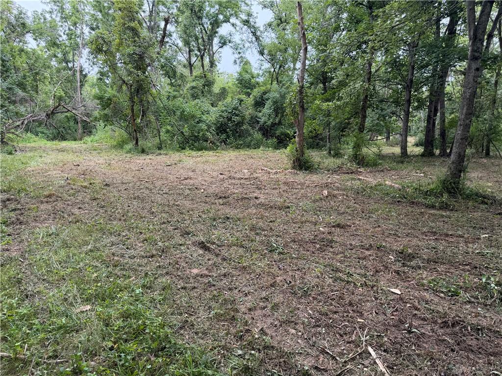 10237 Collins Riley Property Photo 15