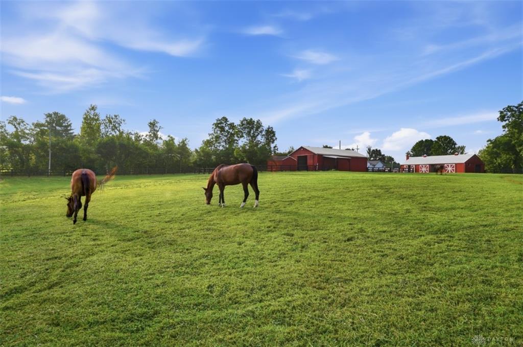 5856 Oregonia Property Photo 50