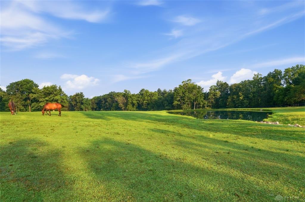 5856 Oregonia Property Photo 52