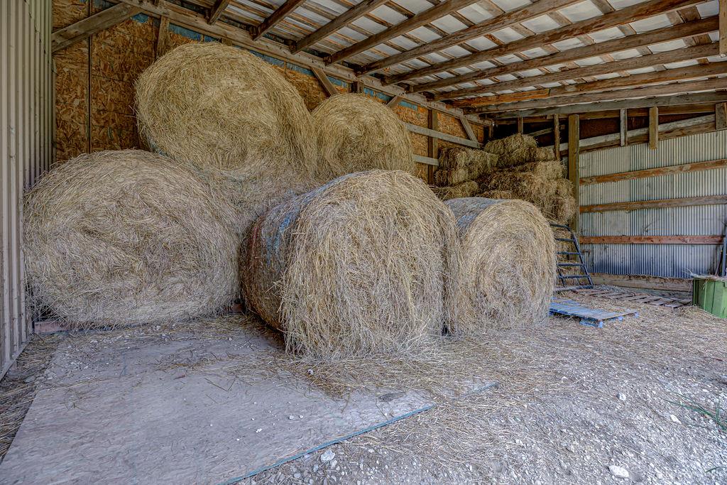 9152 Free Short Property Photo 81