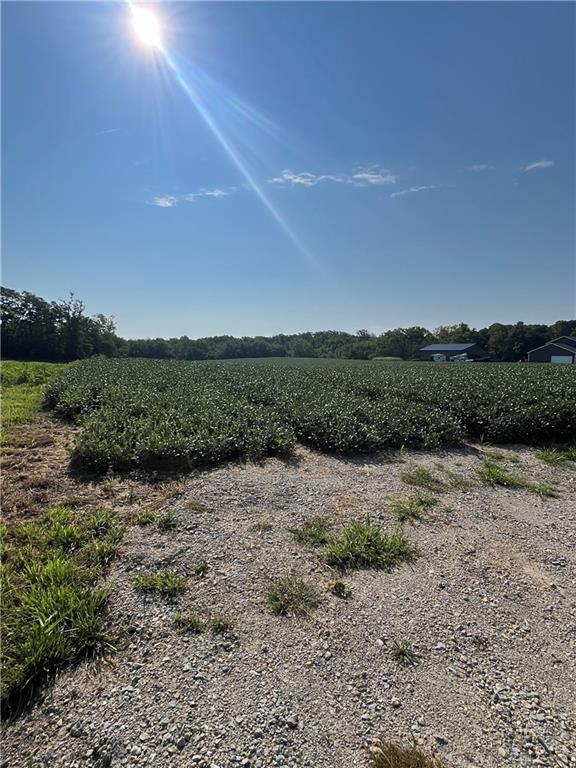 0 Gratis Jacksonburg Rd Property Photo 19