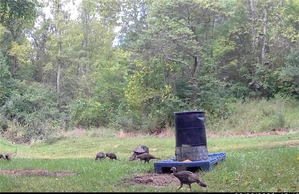 0 Gratis Jacksonburg Rd Property Photo 27