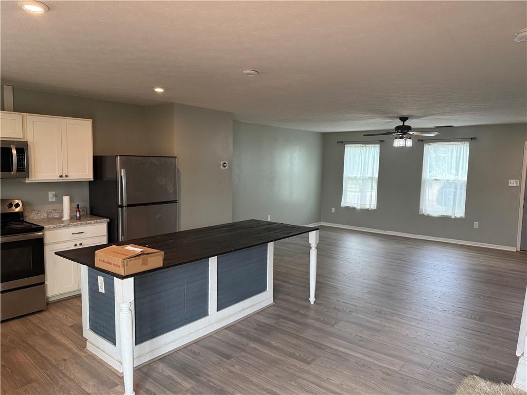 1199 Prem Property Photo 5