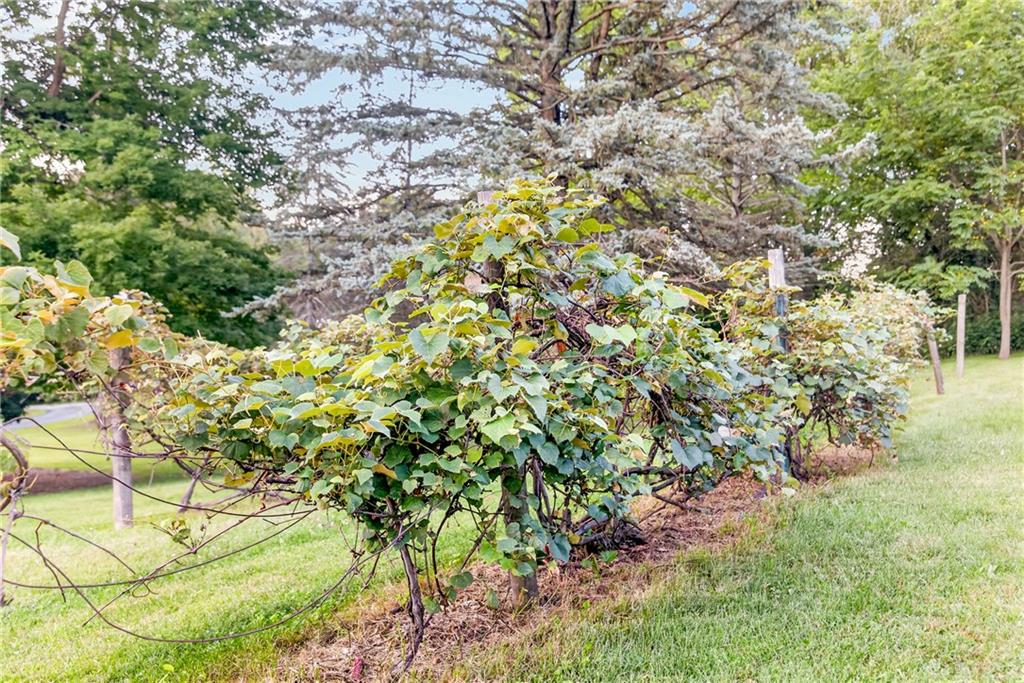 1350 Childrens Home Property Photo 31