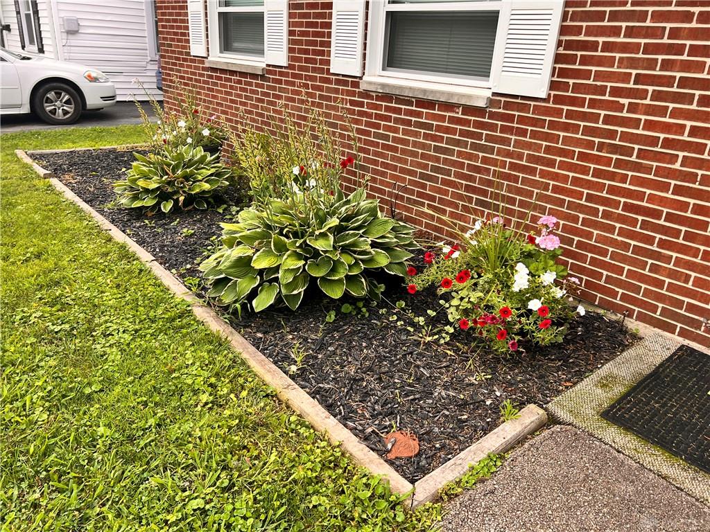 1223 Albemarle Property Photo 8