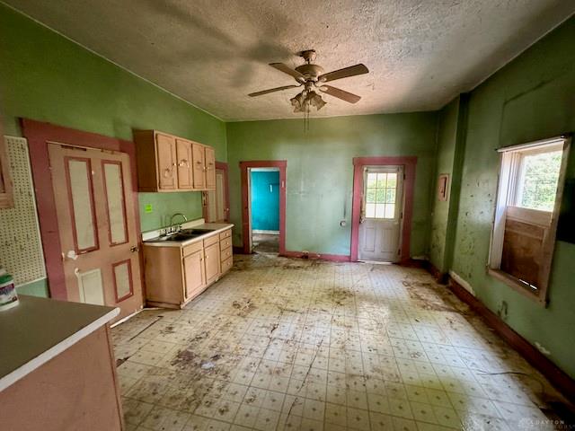 1561 Mound Property Photo 6