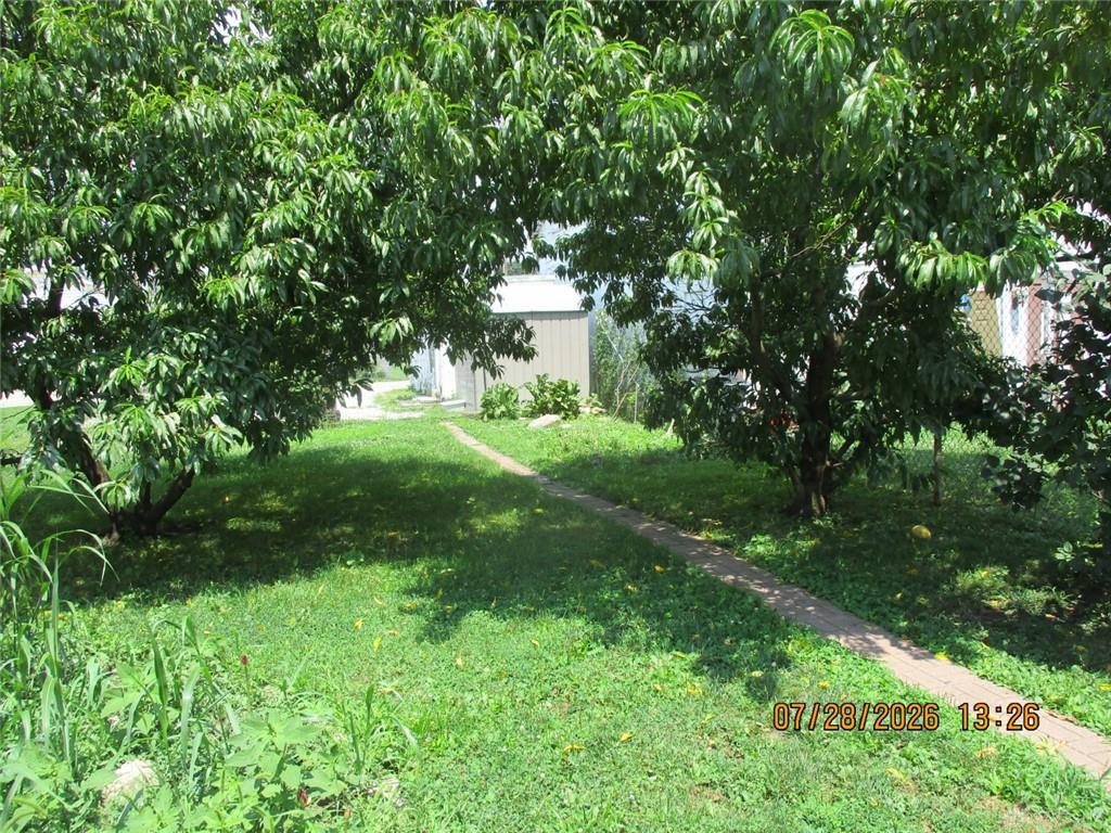 316 3rd Property Photo 24
