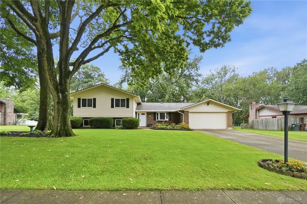8919 Deep Forest Property Photo 3
