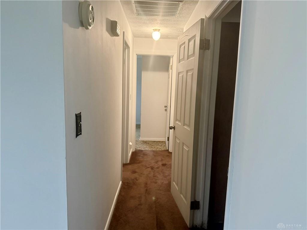 1077 Bosco Property Photo 16