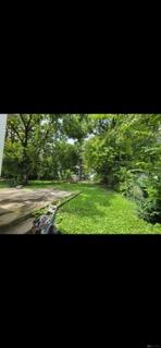 208 Young Property Photo 26