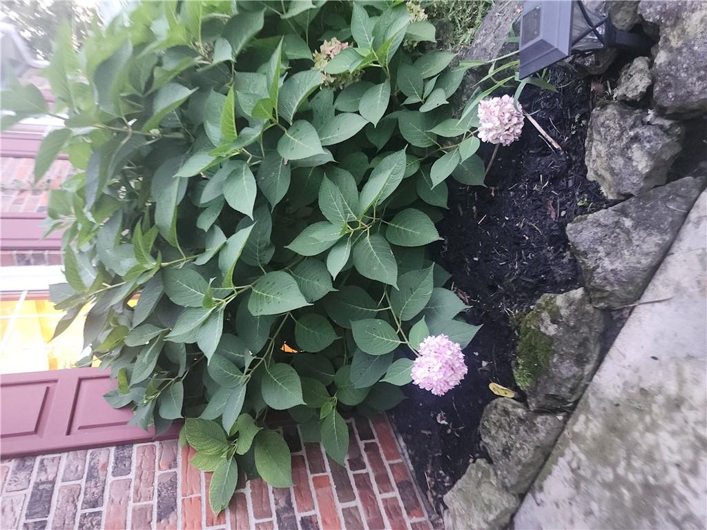 4444 E State Route 41 Property Photo 20
