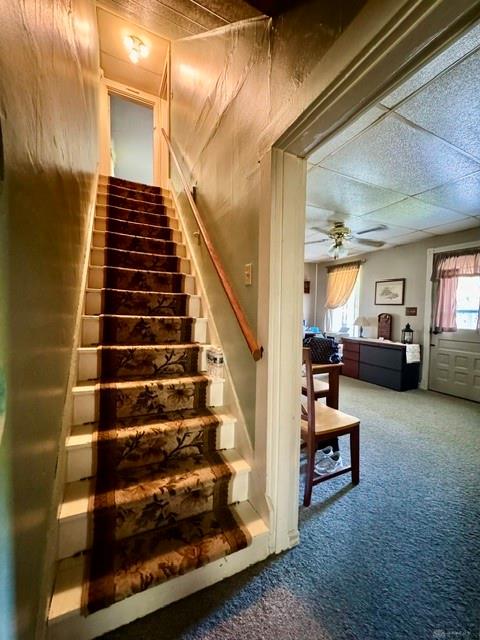 145 Upper Valley Property Photo 41