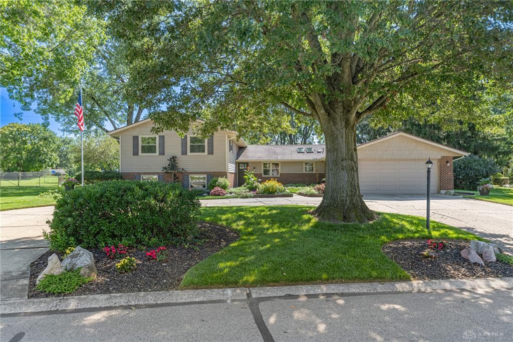 974 Hyde Park Property Photo 4