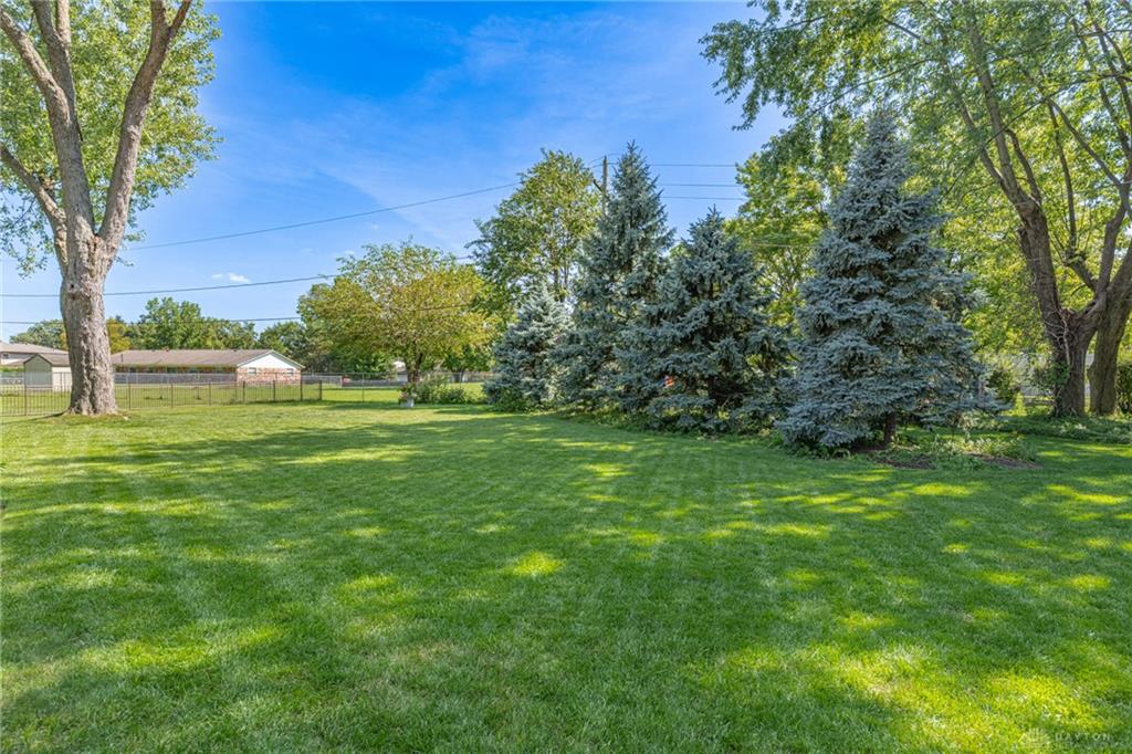 974 Hyde Park Property Photo 47